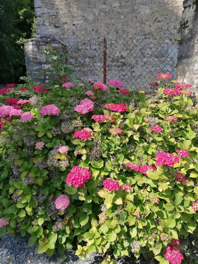 Maison Renovee En Pierres Sejour Spacieux Avec Jardin Et Terrasse Amenagee Pres Omaha Beach & Bayeux A 5Mn De La Mer Tous Commerces Commes Bagian luar foto