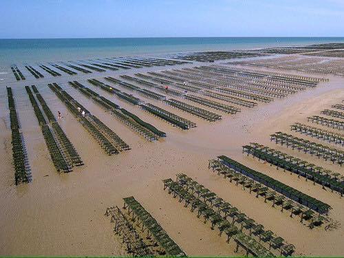 Maison Renovee En Pierres Sejour Spacieux Avec Jardin Et Terrasse Amenagee Pres Omaha Beach & Bayeux A 5Mn De La Mer Tous Commerces Commes Bagian luar foto